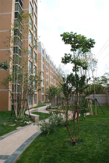 宝运莱嘉园二期局部景观雏形鉴赏（亲景实拍）