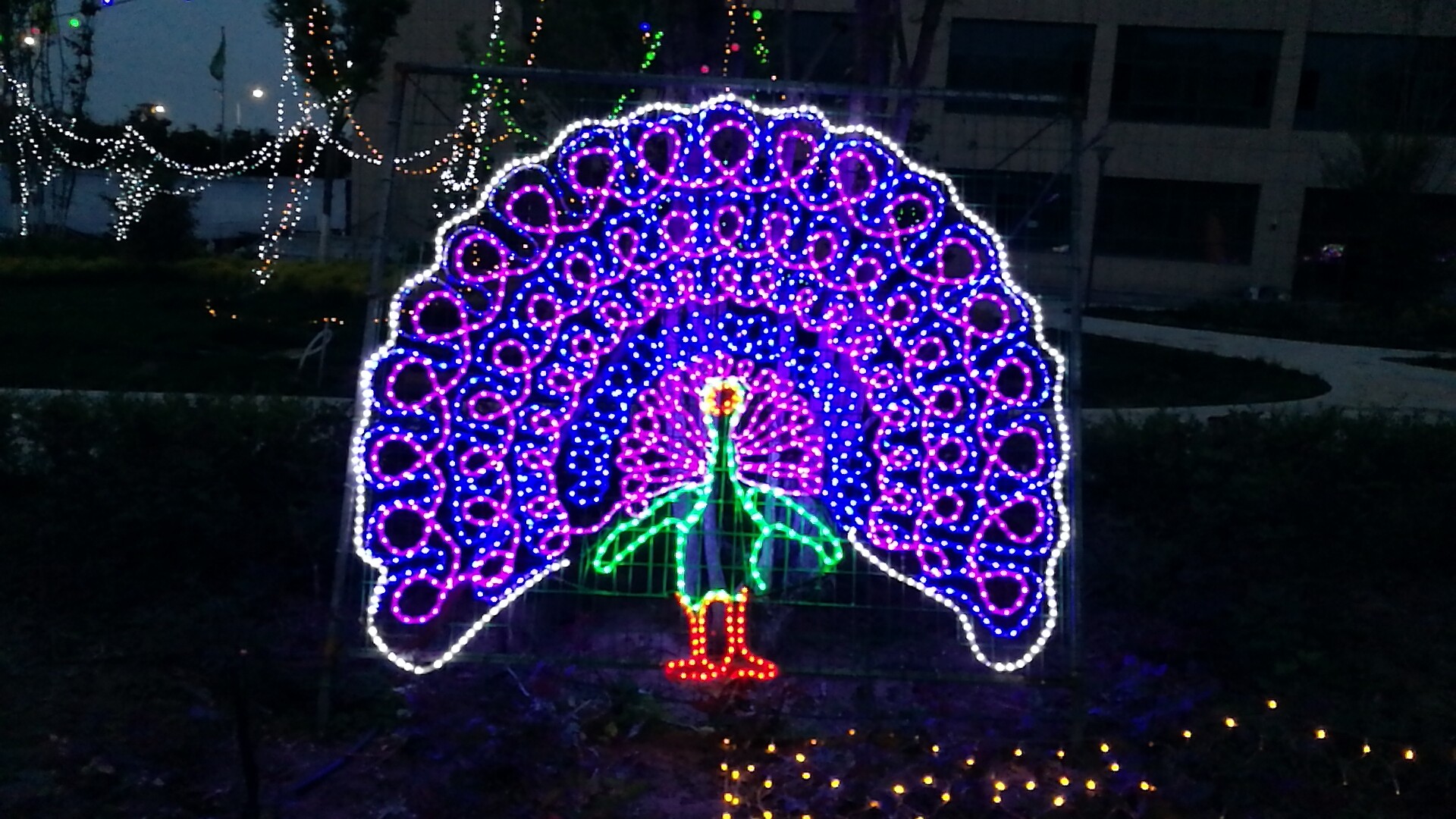 兰州新区宝运莱世贸广场“花漾灯光艺术节”欢迎你！